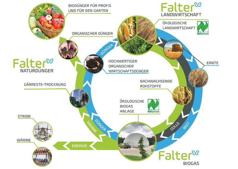 Falter Naturdünger, Landwirtschaft, Falter Biogas: Unser Kreislauf von der Landwirtschaft über die Biogasanlage bis zum Biodünger zur Landwirtschaft. 