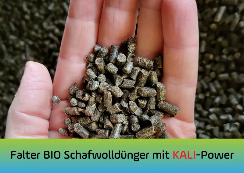 Falter BIO Schafwollpellets: Schafwolldünger mit KALI-Power