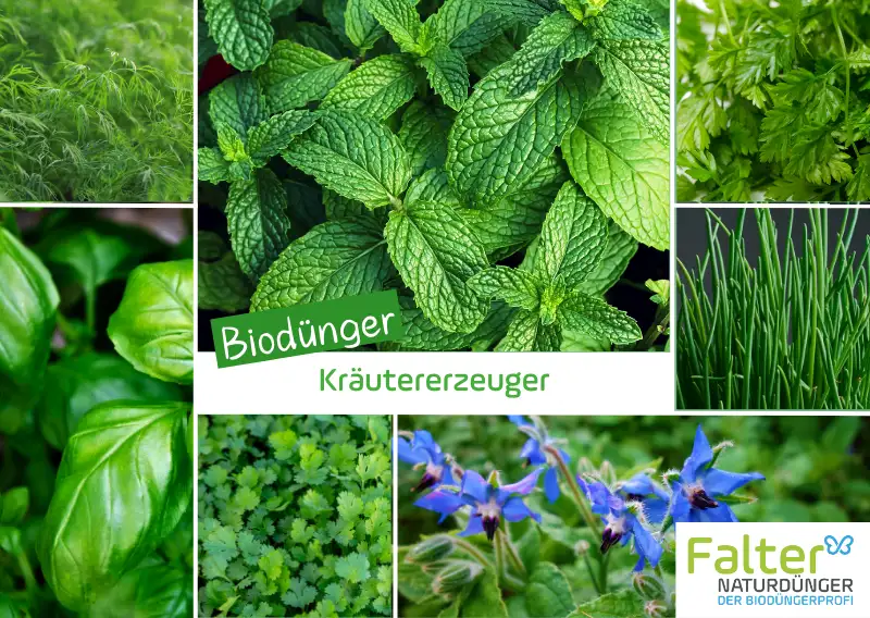 Biodünger für Kräutererzeuger