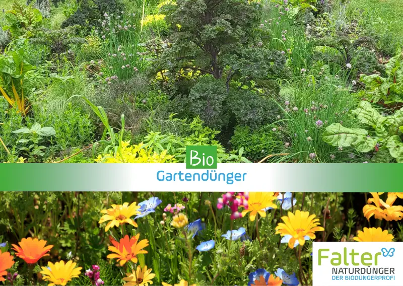 Falter Naturdünger - Biodünger für den Garten und für Profis